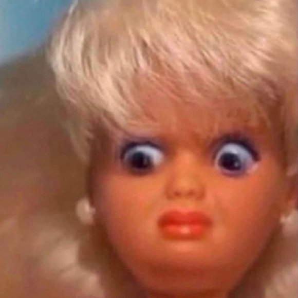 Meet Posher - Picture 1 of 1